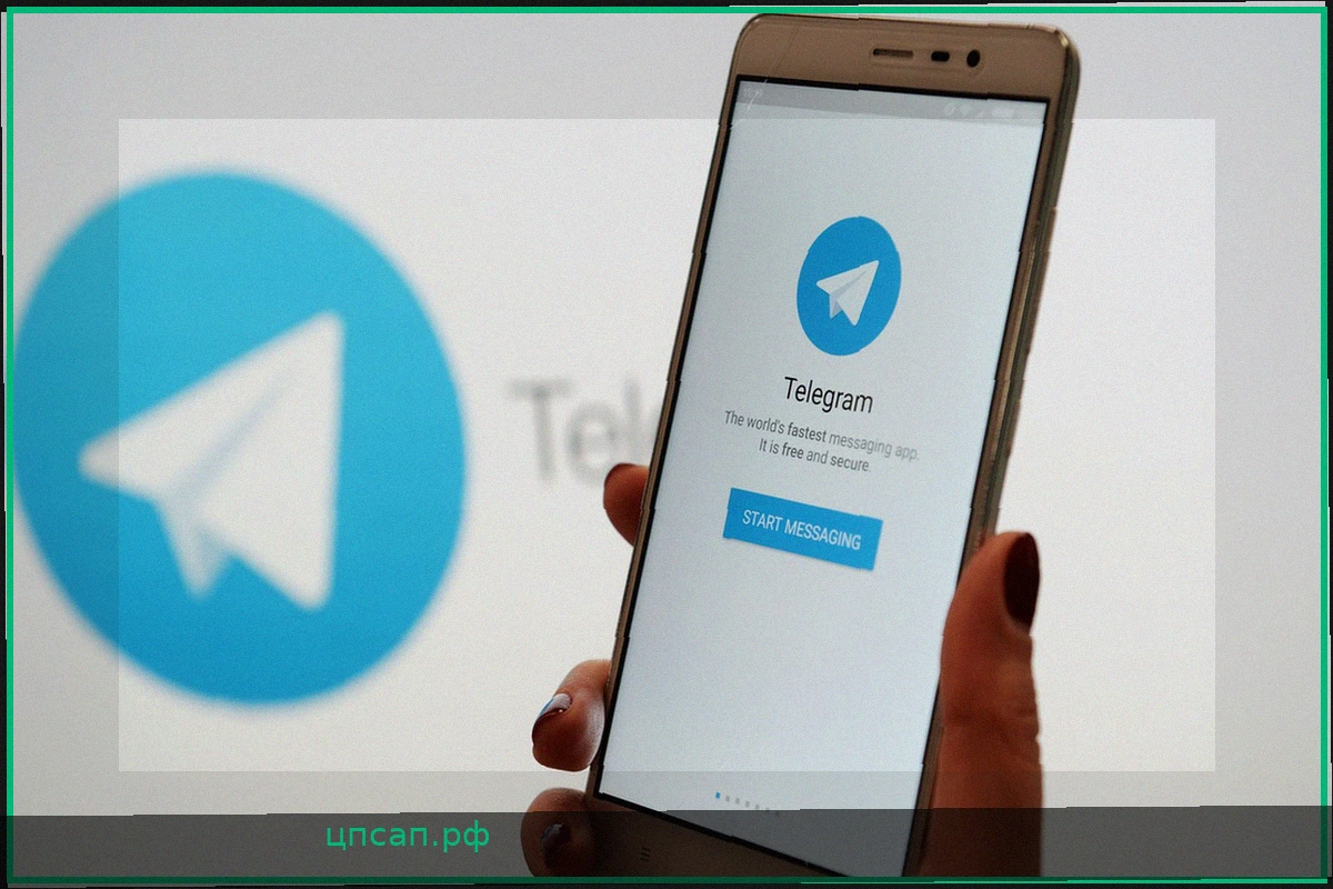 Испанский IT-эксперт: Telegram – главная платформа для террористов