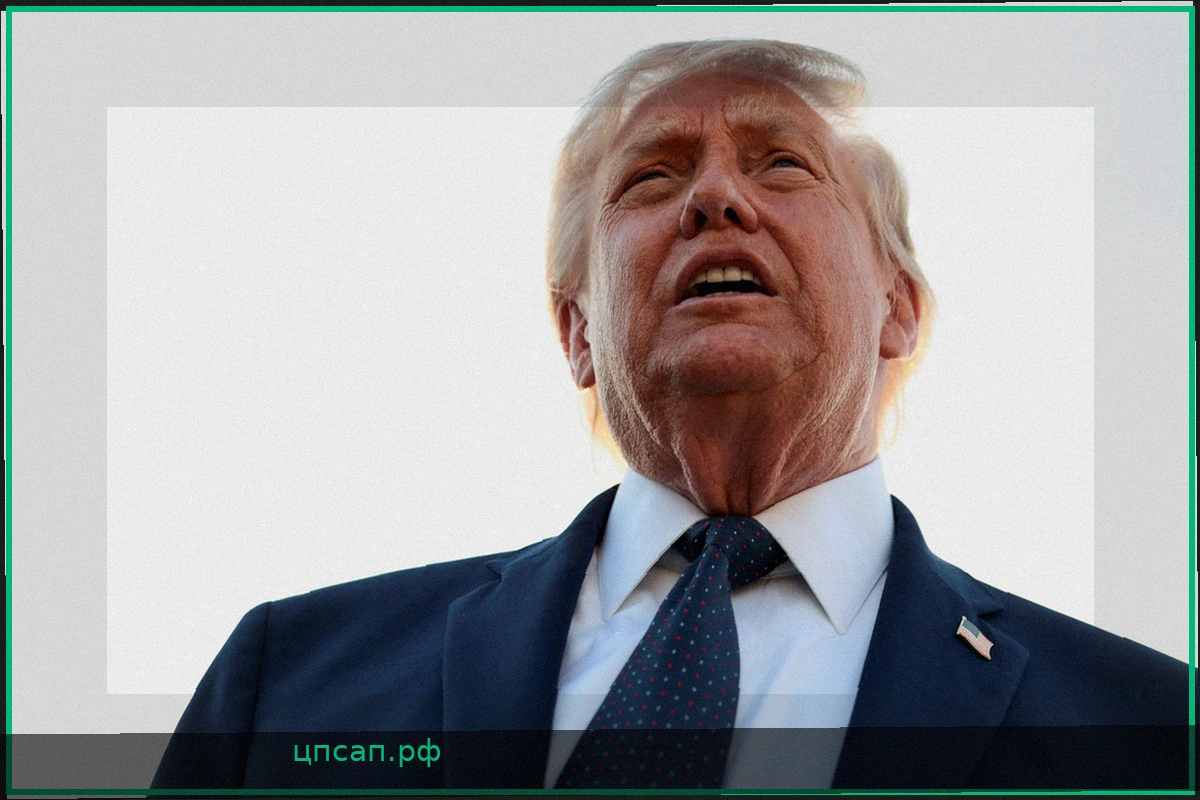 Трамп отказался от Мелони в качестве фаната