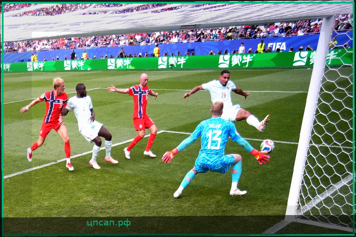 Франция и Норвегия вышли в плей-офф чемпионата мира