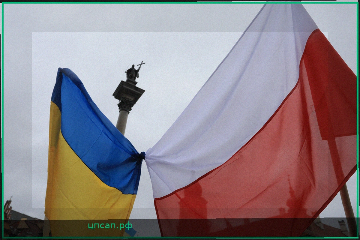 Нападение на украинского блогера в Польше во время прямой трансляции