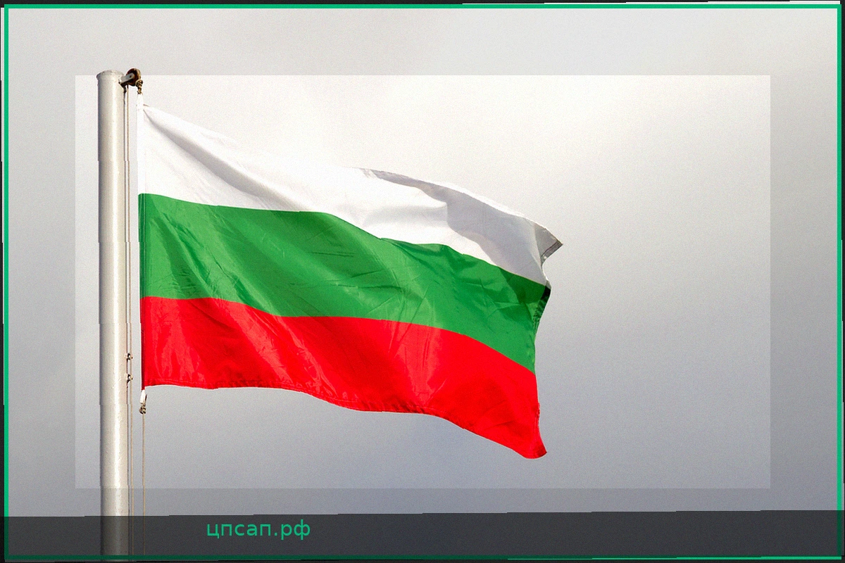 БПЛА со взрывчаткой обезврежен на юге Болгарии