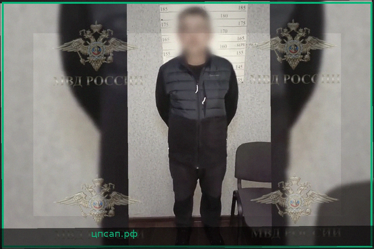 Лесной пожар в Красноярском крае: мужчину задержали за поджог сигнальной ракетой