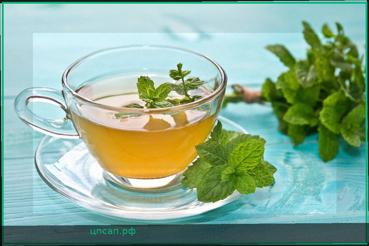 Мятный чай: 7 полезных свойств, способы приготовления и вкусные рецепты