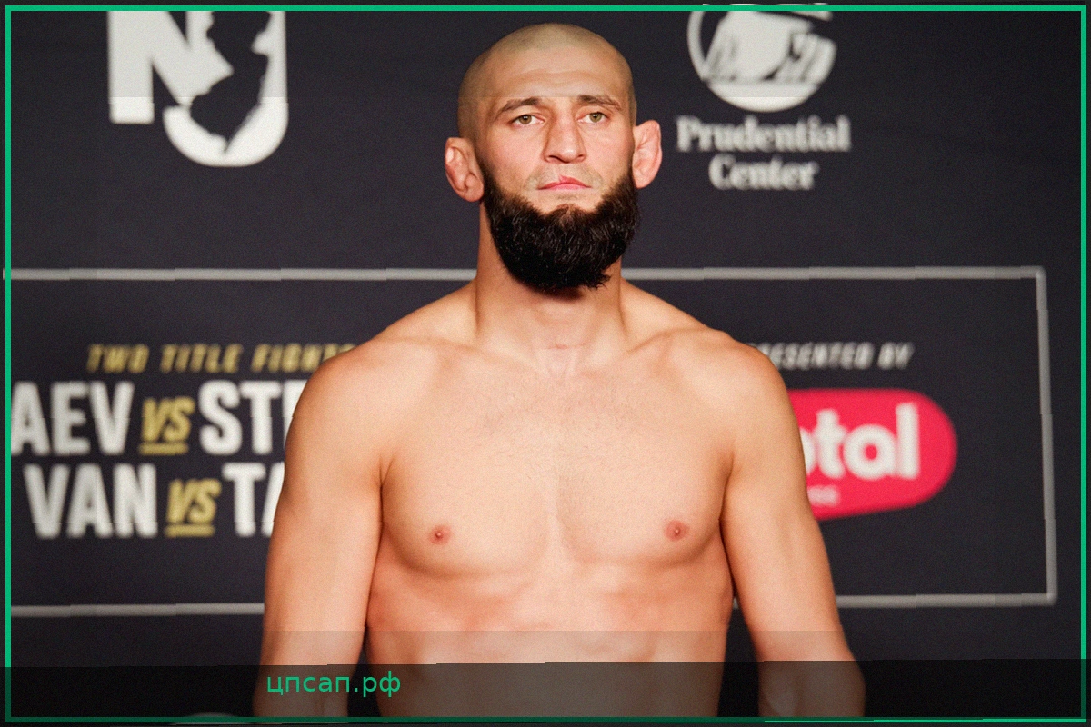 UFC 328: Прогнозы на бой Хамзата Чимаева против Шона Стрикленда