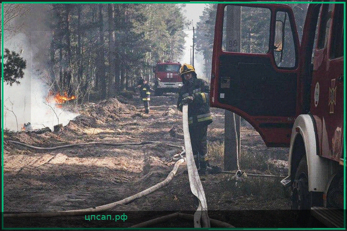 Пожар в Чернобыльской зоне отчуждения: ситуация, тушение и прогнозы