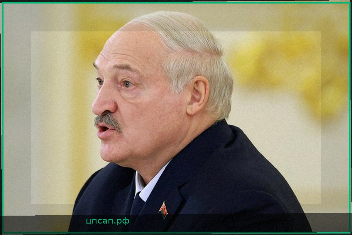 Дональд Трамп выразил благодарность Александру Лукашенко за сотрудничество и освобождение граждан