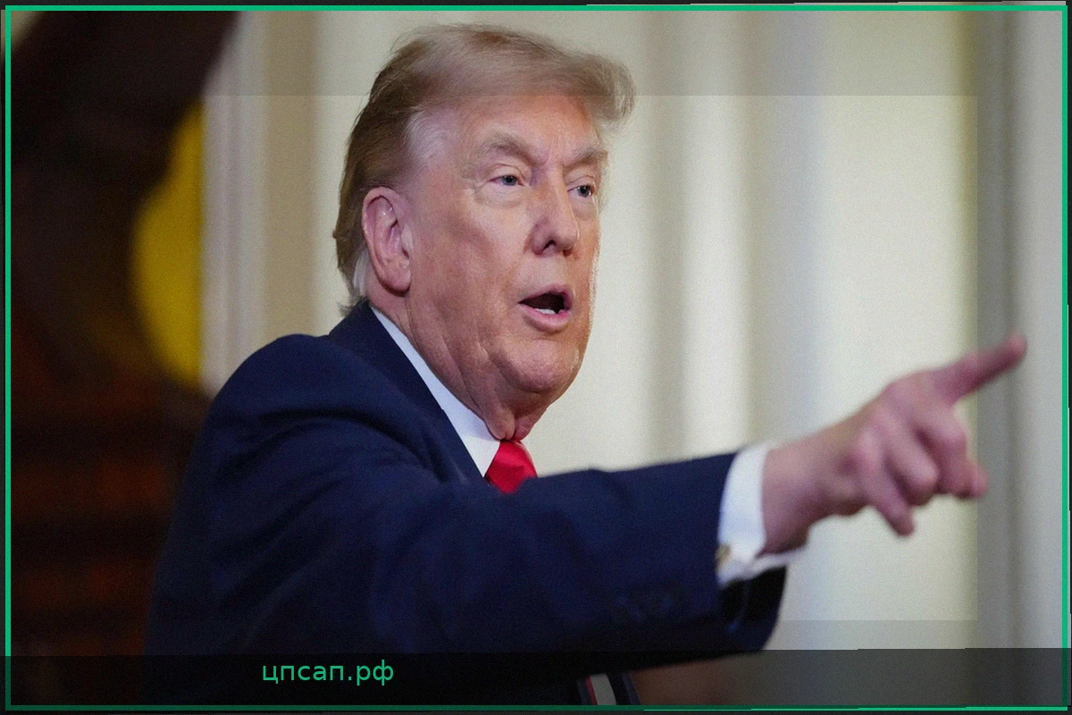Трамп и Зеленский проведут встречу на саммите НАТО