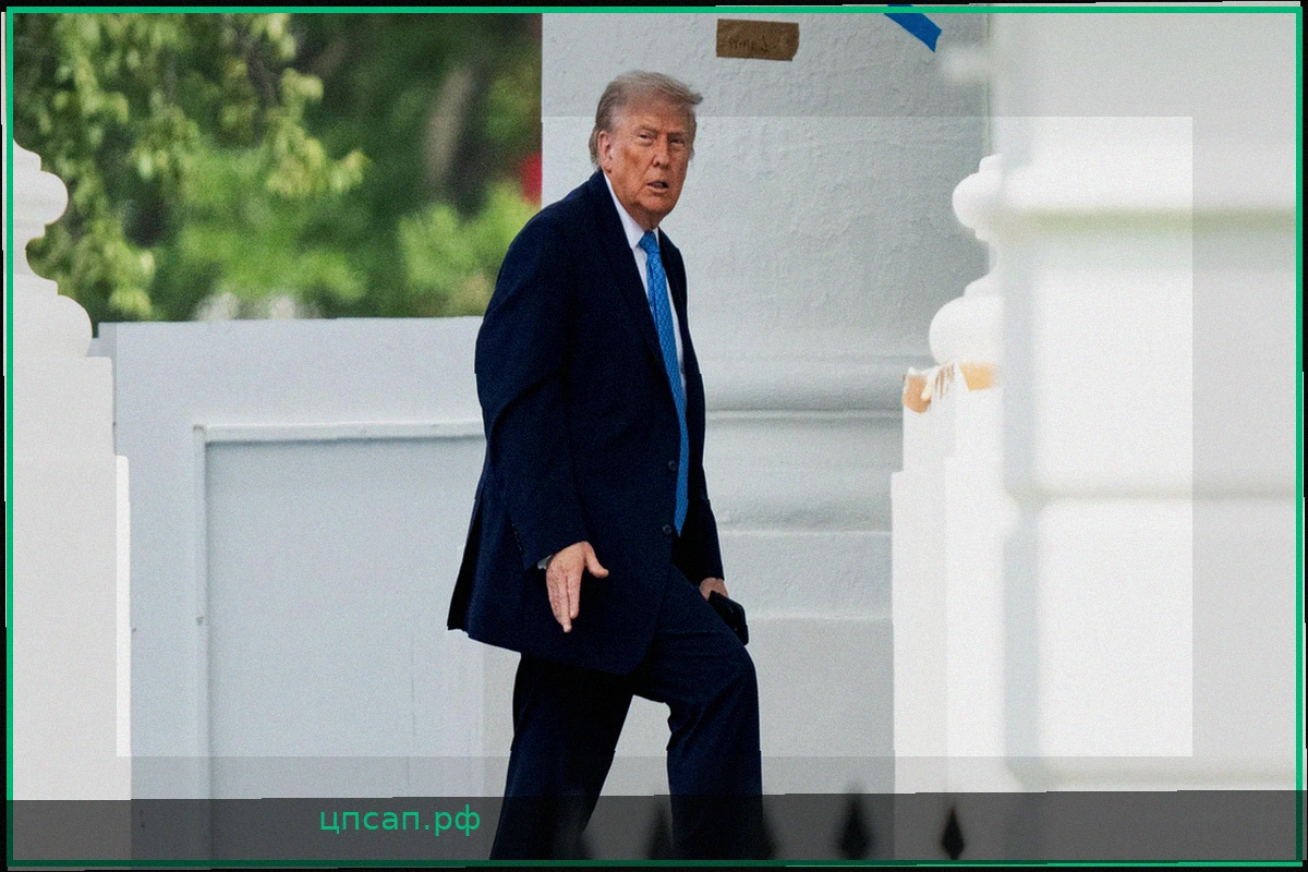 Трамп угрожает странам ЕС пошлинами из-за цифрового налога