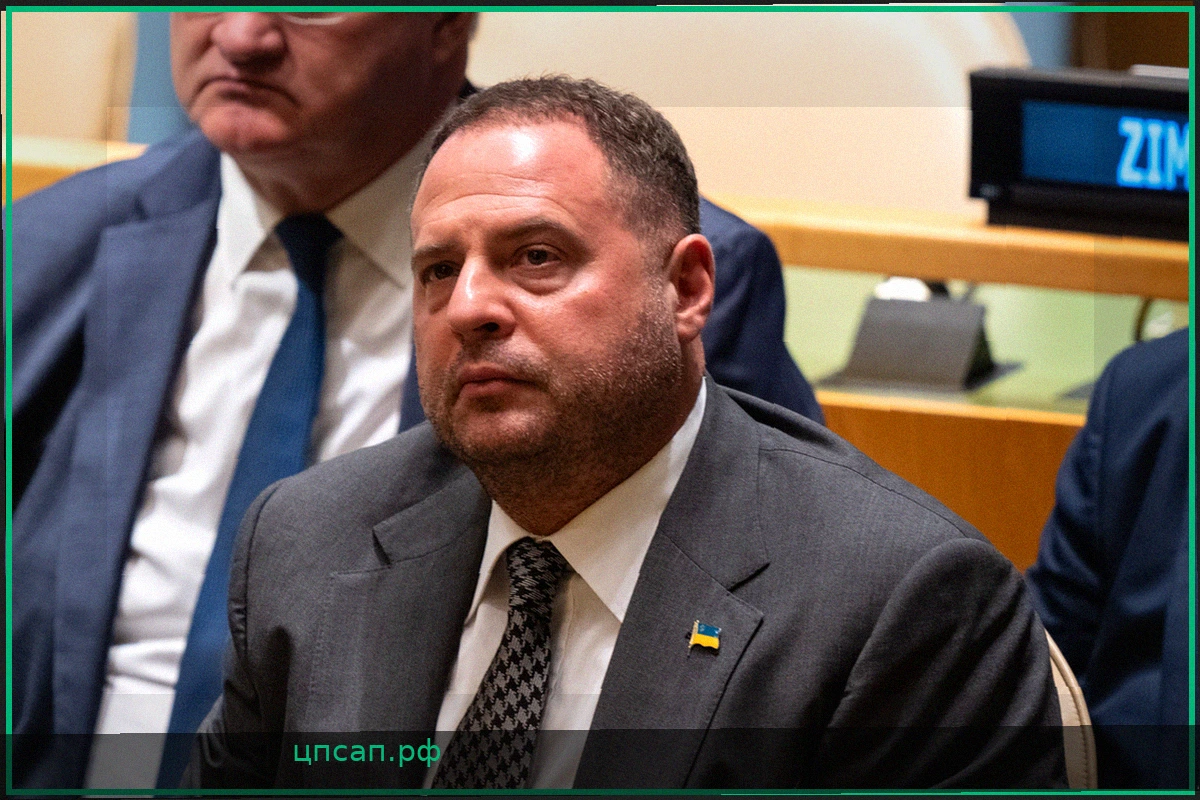 Арест Ермака назвали сигналом Зеленскому от Запада