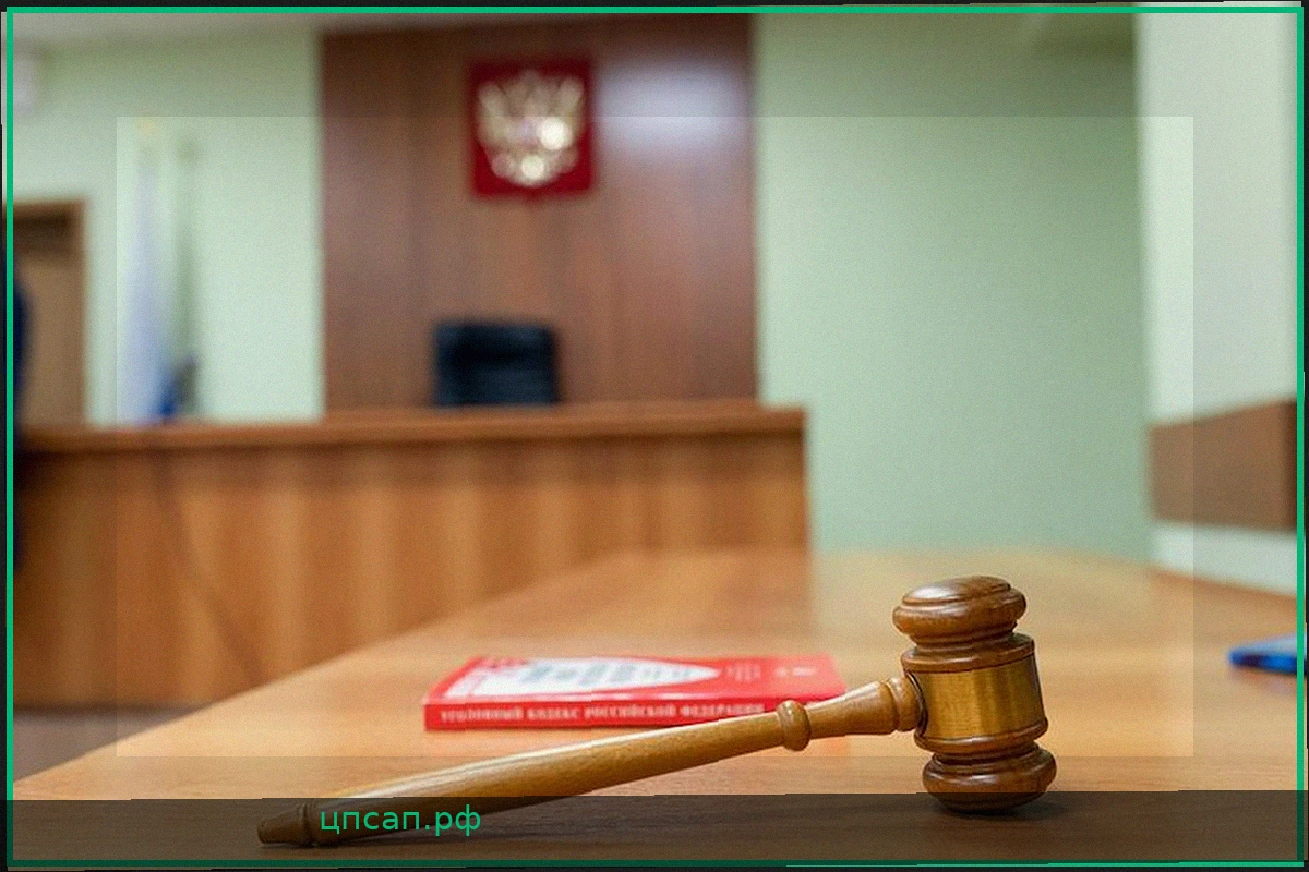 Водитель осталась без компенсации после ДТП с животным на платной трассе